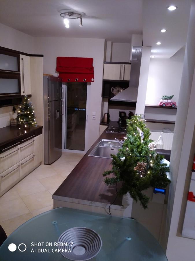 Quiet Luxury Apartment Near City Center And Port ナフプリオ エクステリア 写真